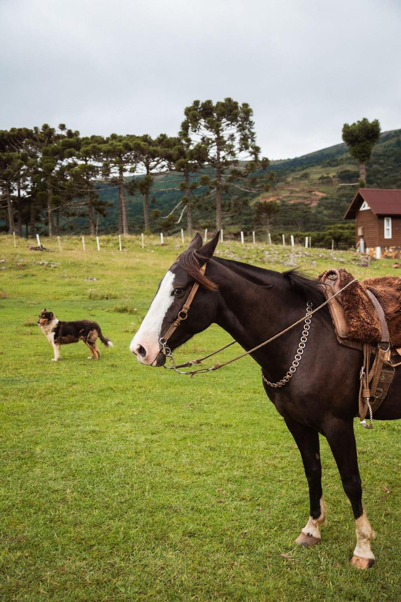 Recanto Das Aguas - Urubici - Sc Eksteriør bilde